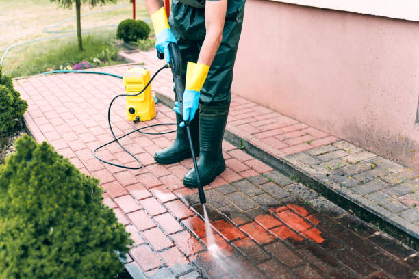 Trusted Purvis, MS Pressure Washing Experts