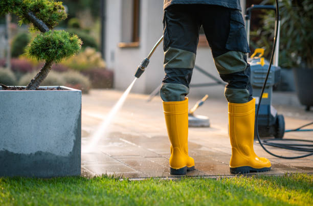 Best Exterior Home Cleaning  in Purvis, MS